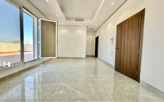 Three bedroom new penthouse for rent in Riqqa