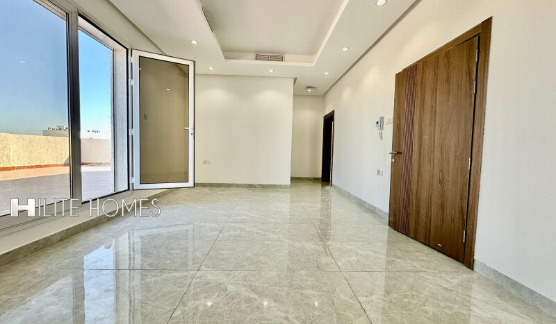Three bedroom new penthouse for rent in Riqqa
