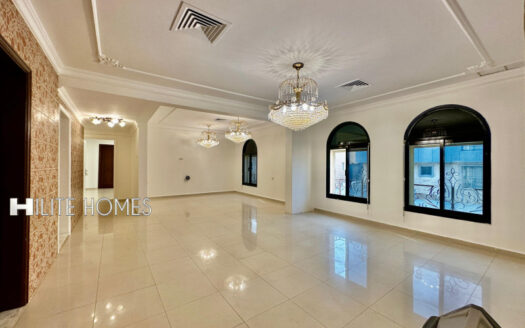Spacious Salwa floor with a large terrace with utilities.