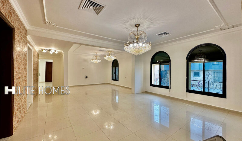 Spacious Salwa floor with a large terrace with utilities.